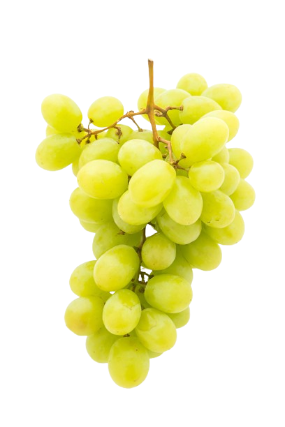 uva-verde